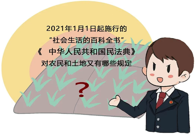 【漫说民法典】农村土地常见问题新规释义